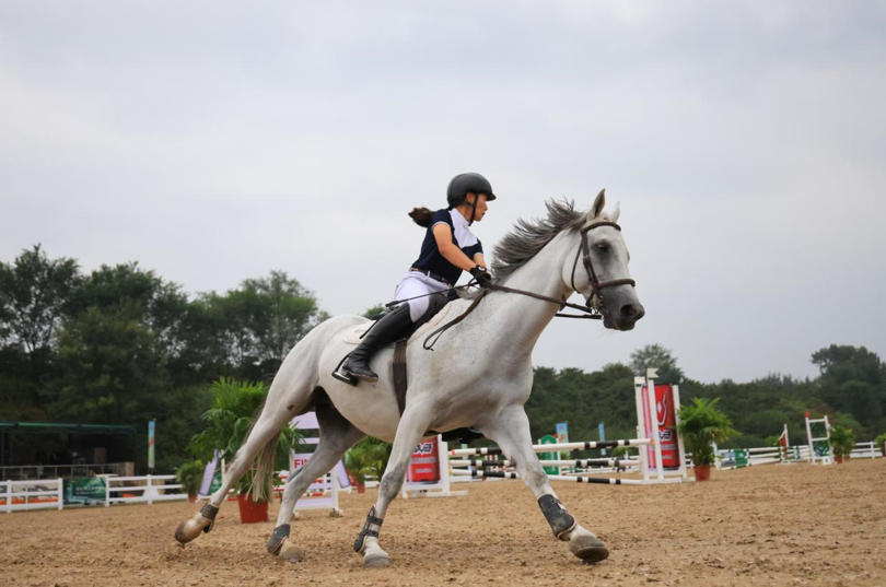 高附加值方, 该赛事构建, 引擎 高附加值方, 该赛事构建, 引擎